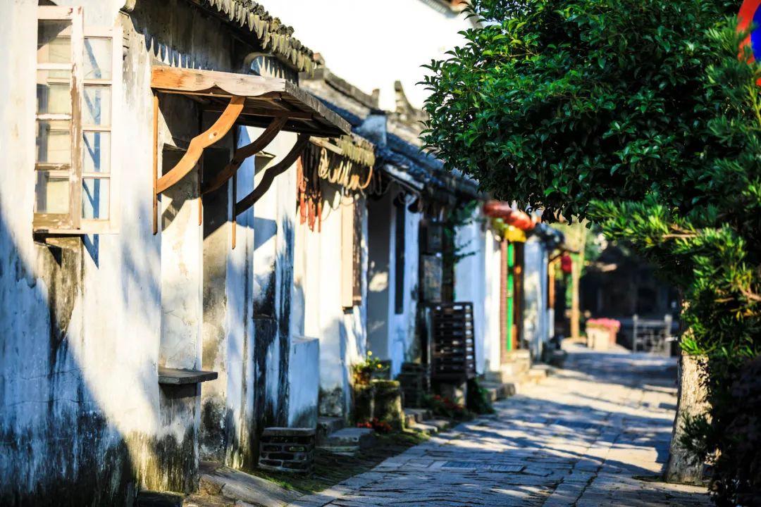 猪猪去冒险